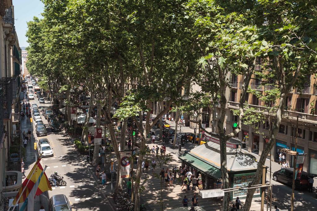 Affittacamere Benidorm Barcellona